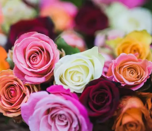 Rose color in Mothers Day flower arrangementts can bring even more meaning to your  gift.